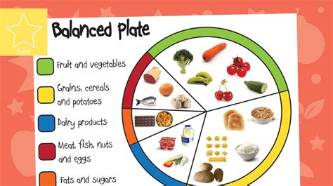 Balanced plate for children