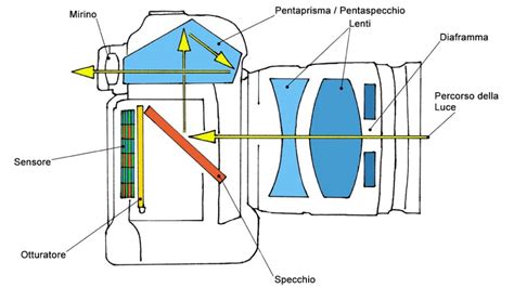 schema del funzionamento interno di una fotocamera reflex con specchio e pentaprisma