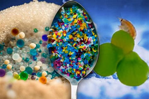 Mappa delle correnti marine che accumulano microplastiche e rifiuti nei canyon sottomarini.