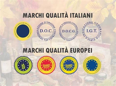 Loghi di Prénatal, Chicco, Baby Idea e Babysanity, rappresentanti marchi di qualità per l'infanzia