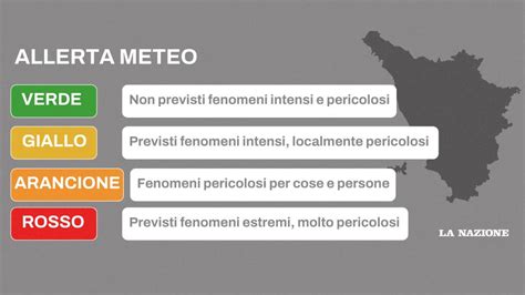 Flowchart sistema di allerta Ally Pad