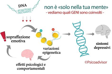 Epigenetica e fattori ambientali