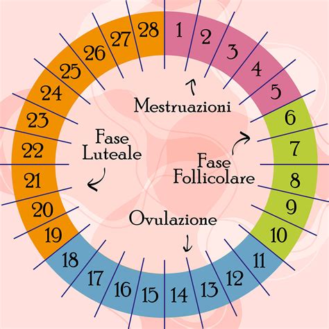 Illustrazione di un calendario con cicli mestruali variabili