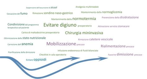 immagine stilizzata di un percorso di cura che collega la fase diagnostica prenatale al supporto post-parto