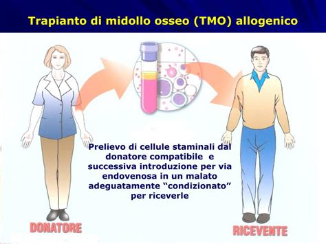 Diagramma: Confronto tra trapianto autologo e allogenico