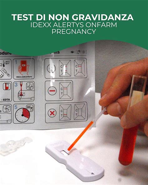 Test gravidanza IDEXX
