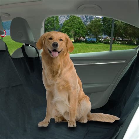 Cane che viaggia comodamente in auto su una coperta protettiva in pile