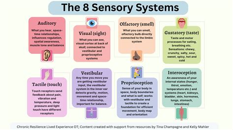 Sensory experience of comfort and poetry