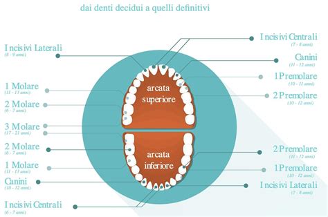 Illustrazione che mostra le differenze tra una dentizione sana e una influenzata dall'uso del ciuccio