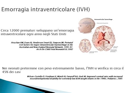 Danni cerebrali nel neonato pretermine: emorragia intraventricolare