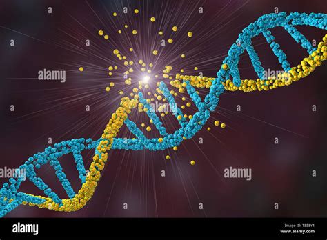 Danno al DNA Spermatico