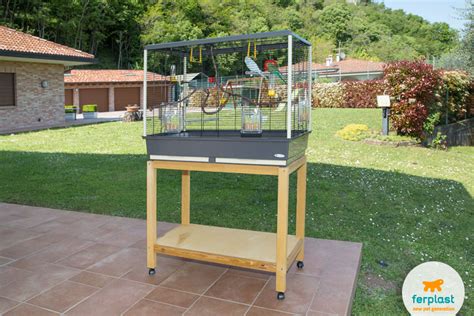 Gabbia ideale per cocorite