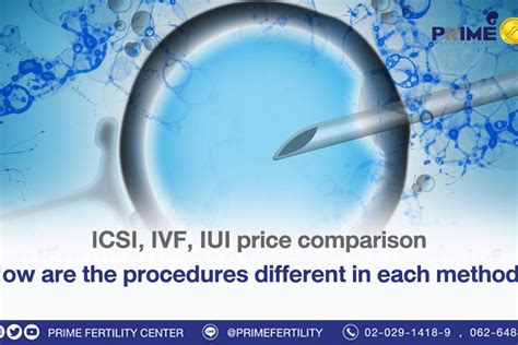 Comparison of IUI and ICSI procedures