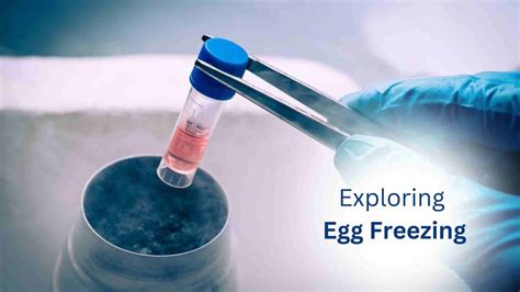Medical illustration of egg freezing