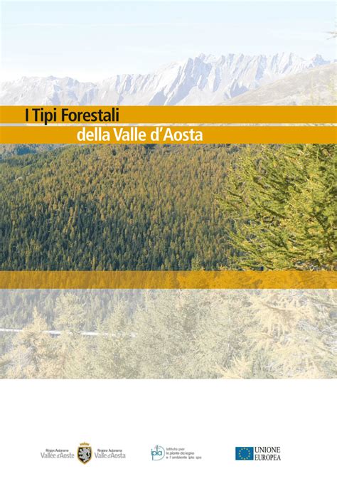 Tipi di passeggini e superfici adatte