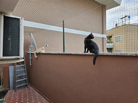 Esempio di abbeveratoio rialzato e sicuro dai gatti