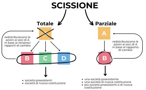 rappresentazione concettuale di una scissione psicologica in un sistema di relazioni complesse