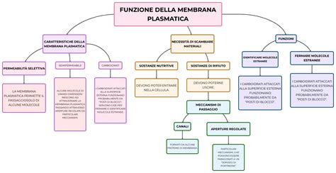 schema grafico sulla teoria della membrana familiare e i confini di coppia
