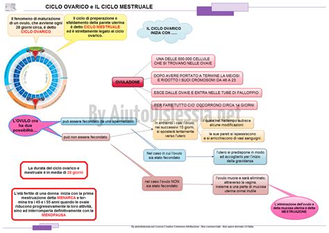 schema del ciclo naturale della procreazione umana