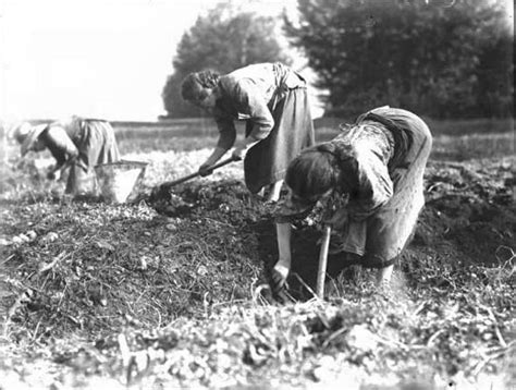 Donne contadine al lavoro nel contesto di un'impresa familiare