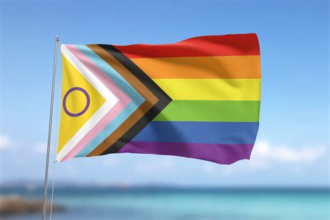 Le diverse bandiere dell'orgoglio: Rainbow, Trans, Bisessuale, Pansex, Intersex e Progress Pride