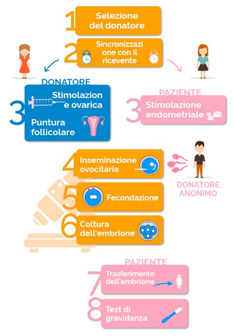Schema che illustra i vari fattori considerati nella selezione di un donatore di sperma