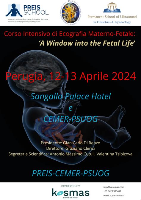 Ecografia fetale in corso