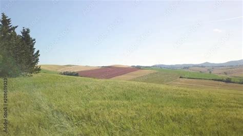 Paesaggio collinare marchigiano con agriturismo