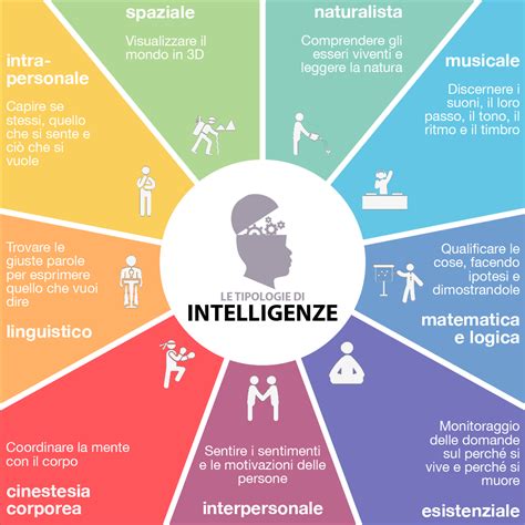 grafico che illustra le diverse tipologie di intelligenze di Howard Gardner