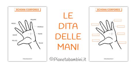 schema grafico sulle dita della mano e nomi associati
