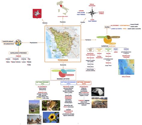 mappa concettuale ospedali e maternità toscana