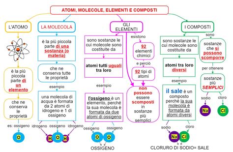 infografica che mostra la differenza tra nutrienti organici e composti chimici sintetici nel suolo
