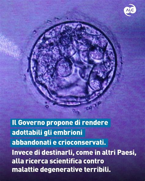 Legge 40 embrioni crioconservati
