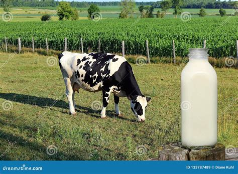 primo piano di un cucchiaino pieno di latte