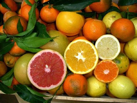 Agrumi con frutti allegati