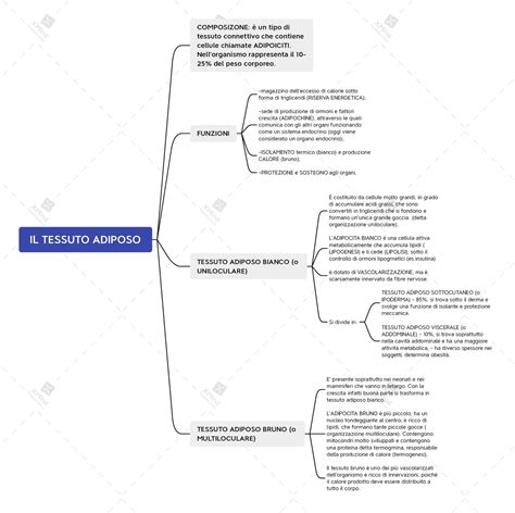 Mappa concettuale del tessuto associativo di San Mauro Torinese