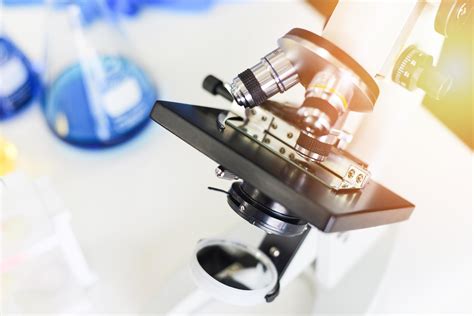 Ricerca scientifica forense