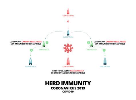 Herd immunity concept diagram