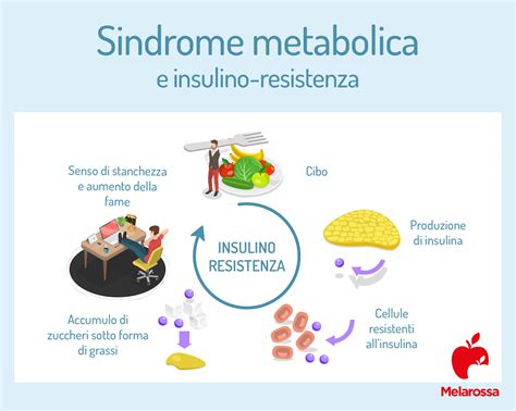 infografica che mostra i pilastri della gestione metabolica: dieta, attività fisica e monitoraggio ormonale