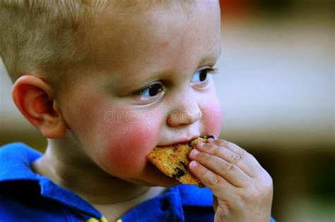 Bambino che mangia un biscotto