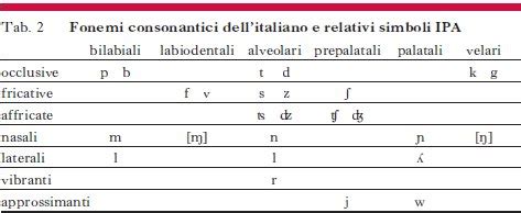 Una tavola che illustra i simboli fonetici dell'alfabeto IPA