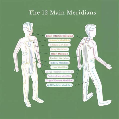 Meridian pathways diagram