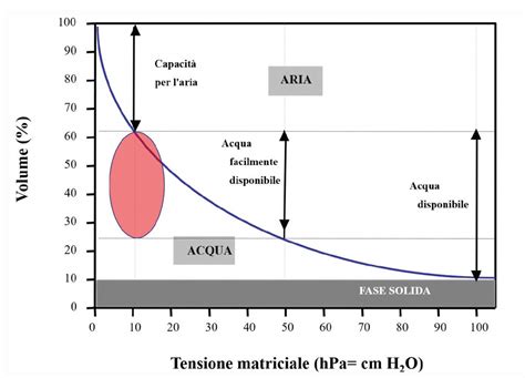 Diagramma che illustra la capacità di ritenzione idrica dell'humus, mostrando come esso lega le molecole d'acqua.