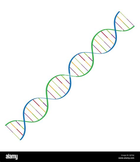 Illustrazione del concepimento con DNA in spirale