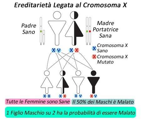 Diagramma di eredità di una mutazione legata al cromosoma X attraverso le generazioni