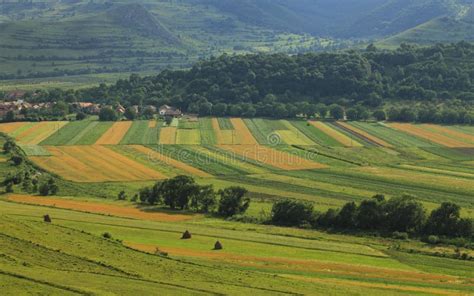 paesaggio rurale con campi coltivati e vegetazione rigogliosa