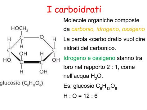 Molecola di selenio e le sue funzioni biologiche