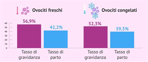 Grafico comparativo percentuali di successo: embrioni freschi vs. congelati