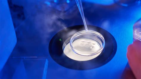 Embrioni conservati in azoto liquido