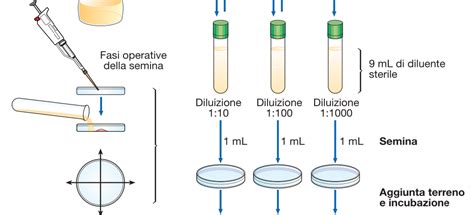 Effetti della scorretta diluizione del latte in polvere